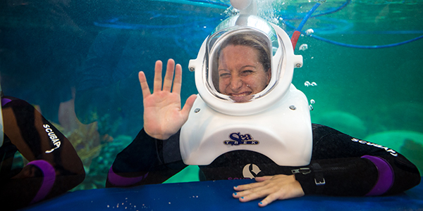 sea trek helmet diving odysea