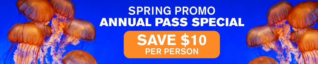 AP-SavingsSpring2023- OA Promo Header_1240x250