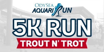 Aquari-Run-OA Promo Navigation Header_350x175